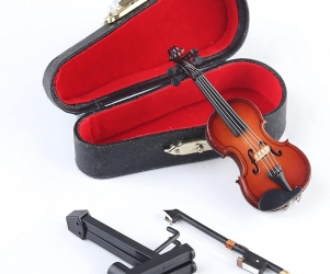 Tiny Violin Set